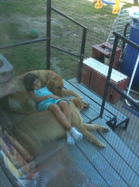 morning picdump 52 pics 13.html - 52 HD Photos | Premium Gallery 2014