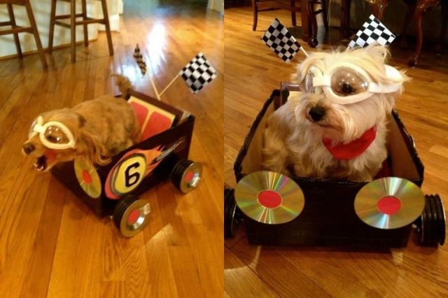 Morning Picdump