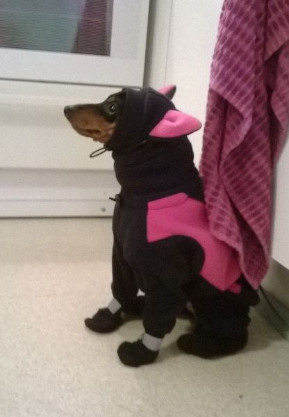 morning picdump 54 pics 24.html - 54 HD Photos | Premium Gallery 2014