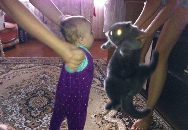 morning picdump 54 pics 24.html - 54 HD Photos | Premium Gallery 2014