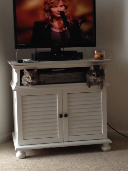 morning picdump 54 pics 24.html - 54 HD Photos | Premium Gallery 2014