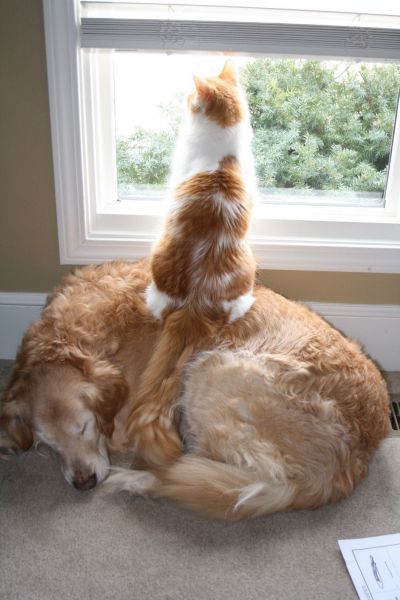 morning picdump 54 pics 24.html - 54 HD Photos | Premium Gallery 2014