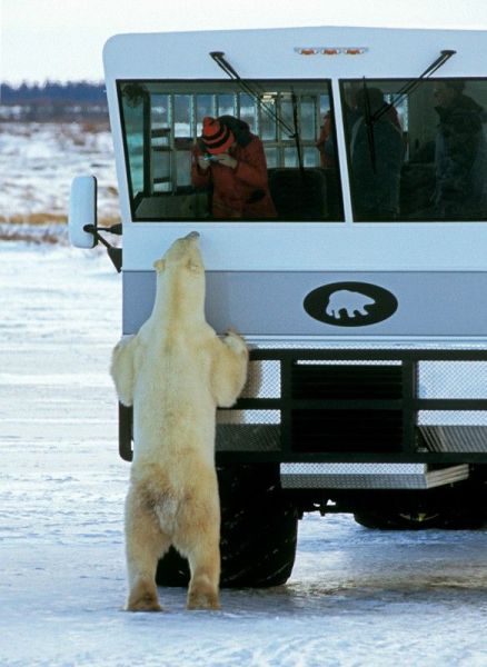 morning picdump 54 pics 24.html - 54 HD Photos | Premium Gallery 2014