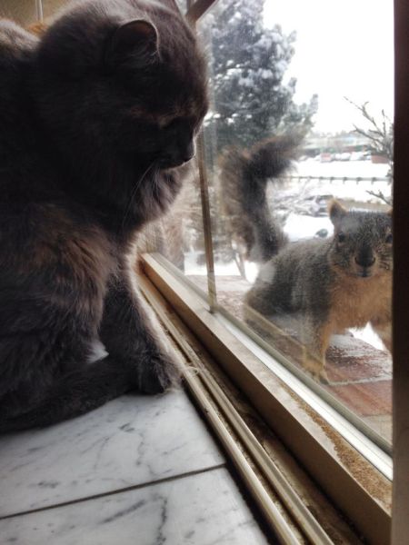 morning picdump 54 pics 24.html - 54 HD Photos | Premium Gallery 2014