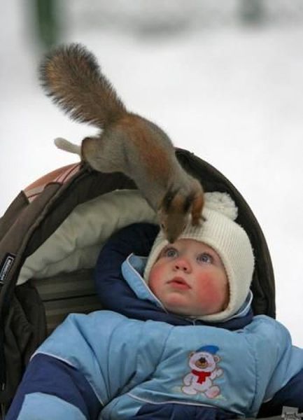 morning picdump 54 pics 24.html - 54 HD Photos | Premium Gallery 2014