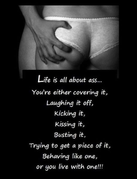 grownup corner 45 pics 12 gifs 15.html - 45 HD GIF | Premium Gallery 2014