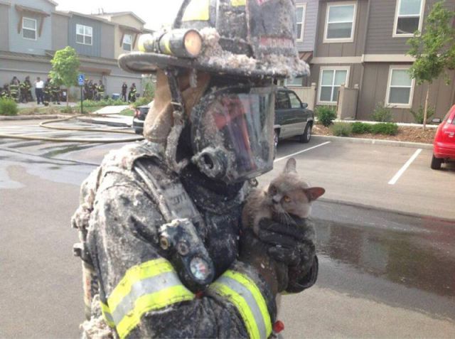 Morning Picdump