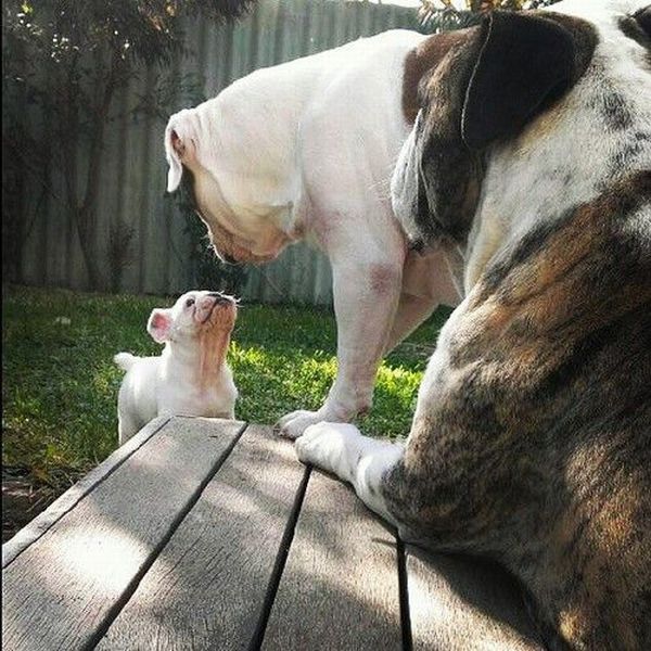 morning picdump 56 pics 3.html - 56 HD Photos | Premium Gallery 2014
