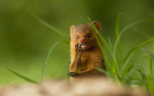 morning picdump 56 pics 3.html - 56 HD Photos | Premium Gallery 2014