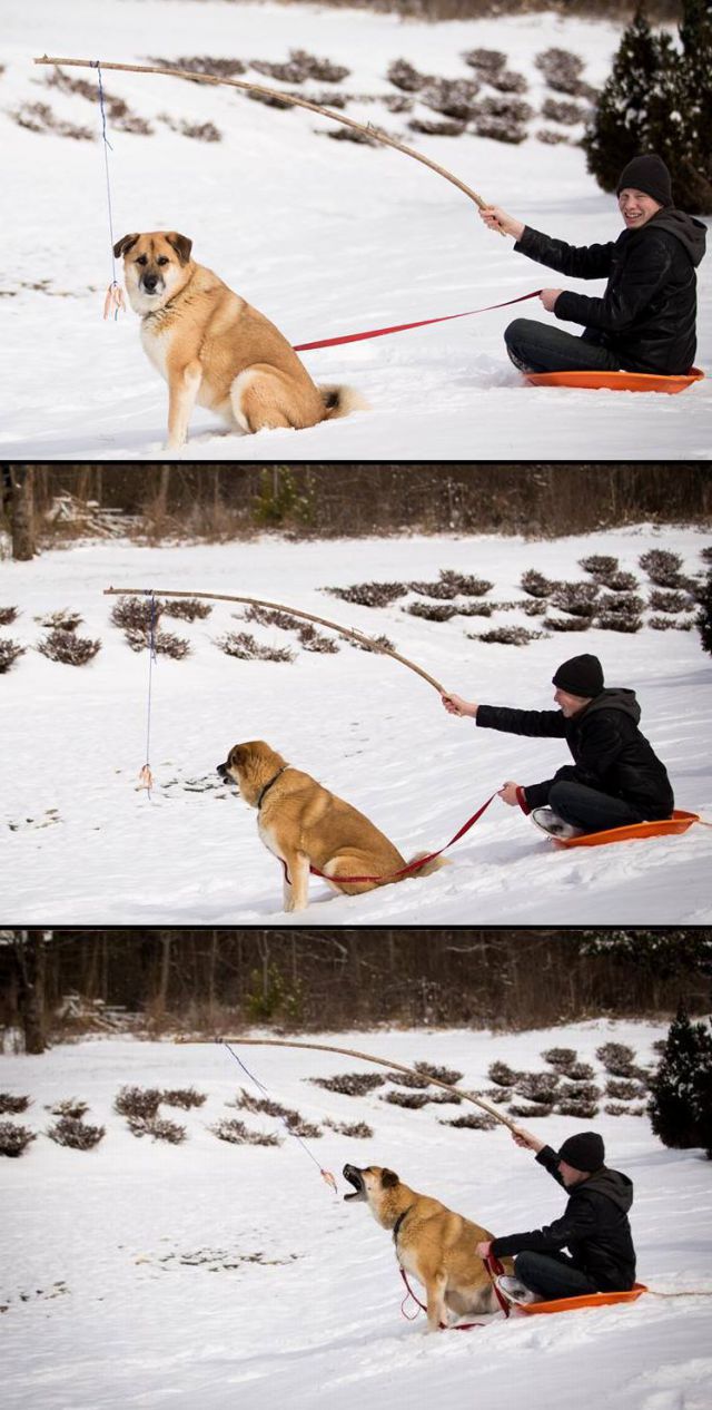 morning picdump 56 pics 3.html - 56 HD Photos | Premium Gallery 2014