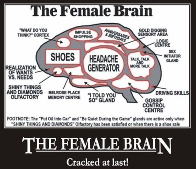 The Quirky and Confusing World of Women