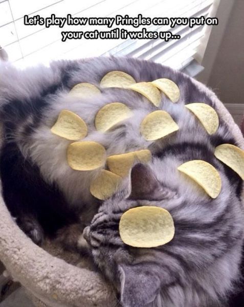 morning picdump 58 pics 2.html - 58 HD Photos | Premium Gallery 2014