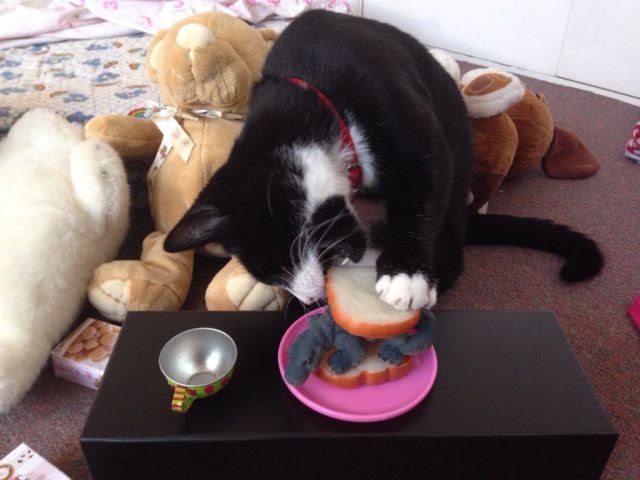 morning picdump 58 pics 2.html - 58 HD Photos | Premium Gallery 2014