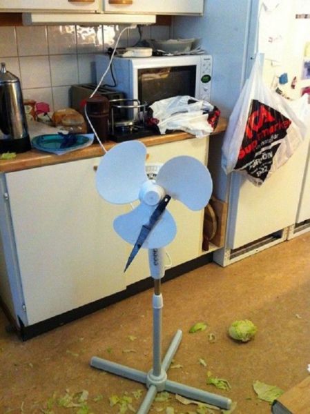 Morning Picdump