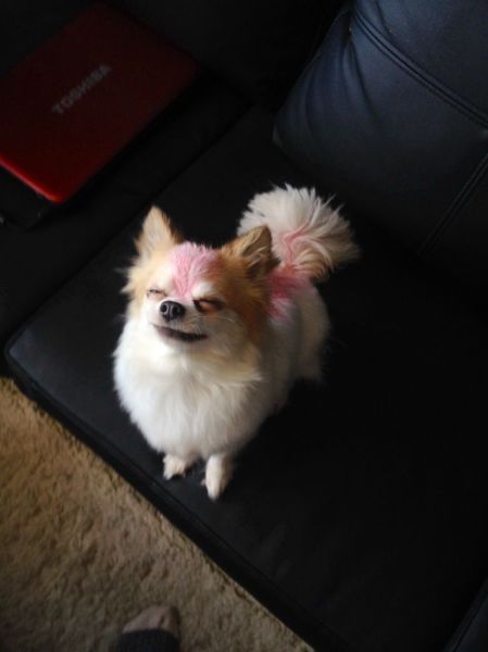 Morning Picdump