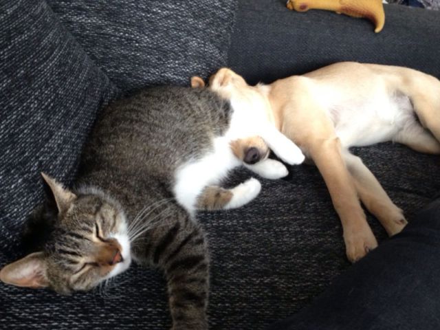 Morning Picdump