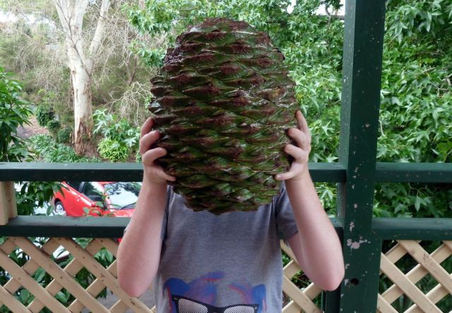 morning picdump 55 pics 24.html - 55 HD Photos | Premium Gallery 2014