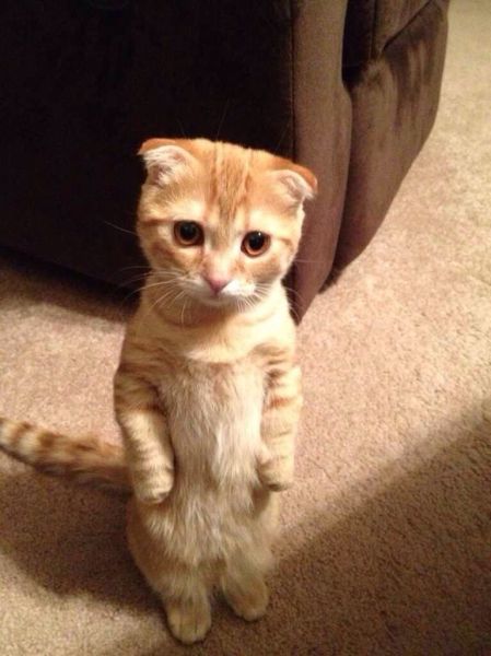 morning picdump 55 pics 24.html - 55 HD Photos | Premium Gallery 2014