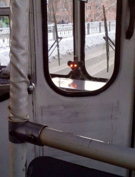 morning picdump 55 pics 24.html - 55 HD Photos | Premium Gallery 2014