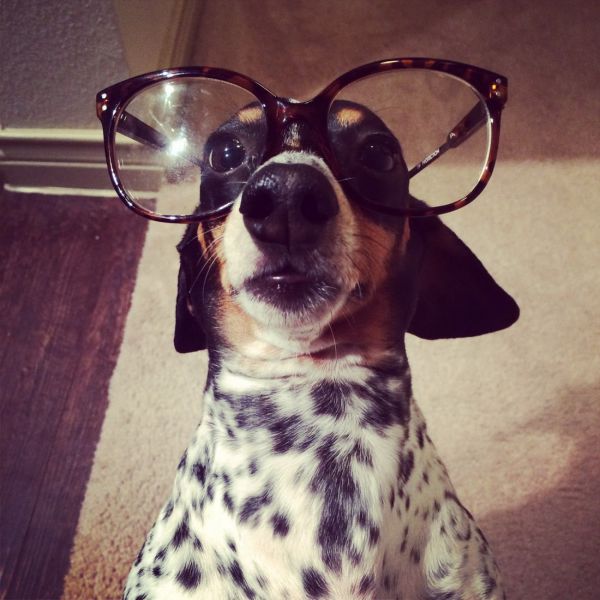 morning picdump 55 pics 24.html - 55 HD Photos | Premium Gallery 2014