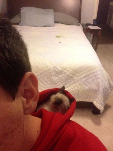 Morning Picdump