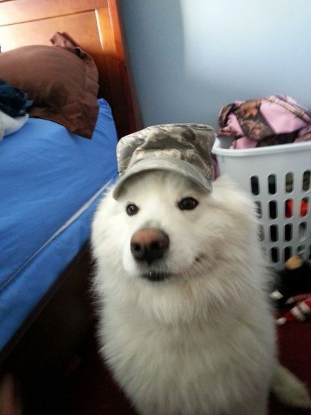 Morning Picdump