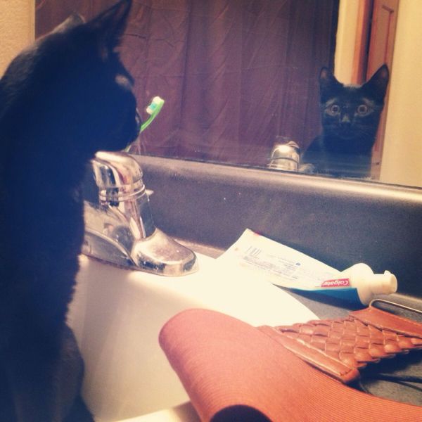 Morning Picdump