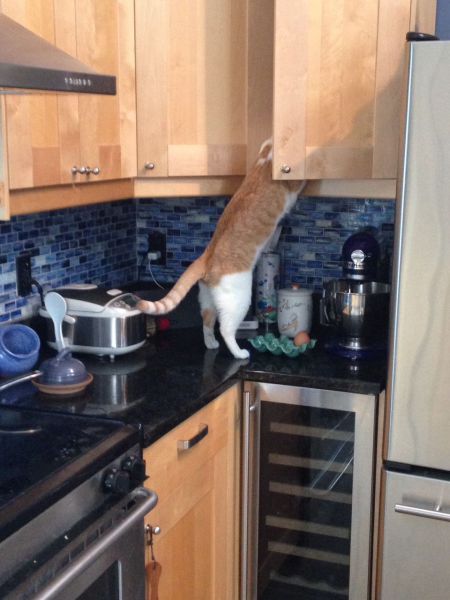 Morning Picdump