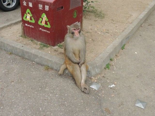 morning picdump 53 pics 3.html - 53 HD Photos | Premium Gallery 2014