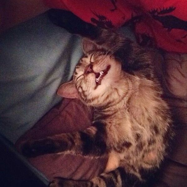 morning picdump 53 pics 3.html - 53 HD Photos | Premium Gallery 2014