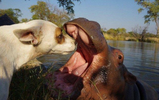 morning picdump 53 pics 3.html - 53 HD Photos | Premium Gallery 2014