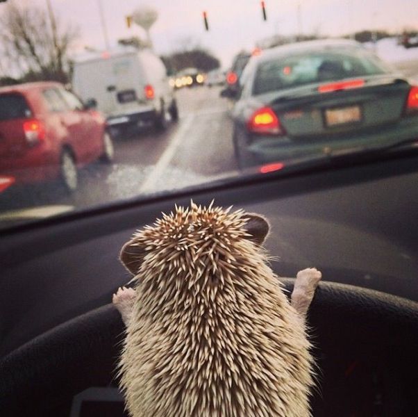 morning picdump 53 pics 3.html - 53 HD Photos | Premium Gallery 2014