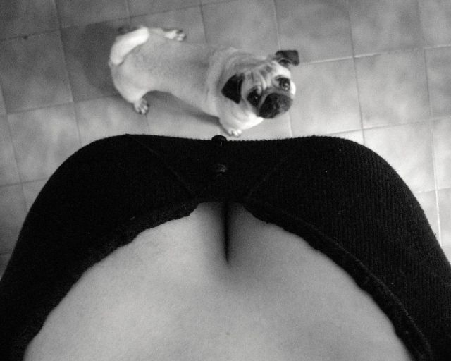 grownup corner 53 pics 5 gifs 8.html - 53 HD GIF | Premium Gallery 2014