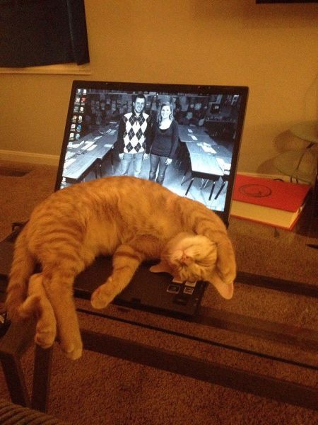 morning picdump 56 pics 14.html - 56 HD Photos | Premium Gallery 2014