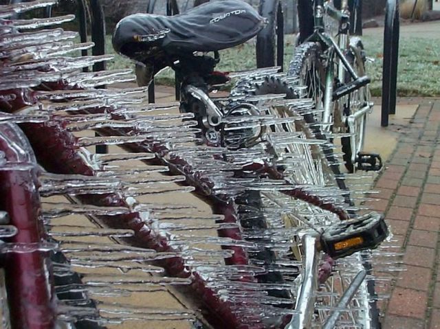 morning picdump 56 pics 14.html - 56 HD Photos | Premium Gallery 2014