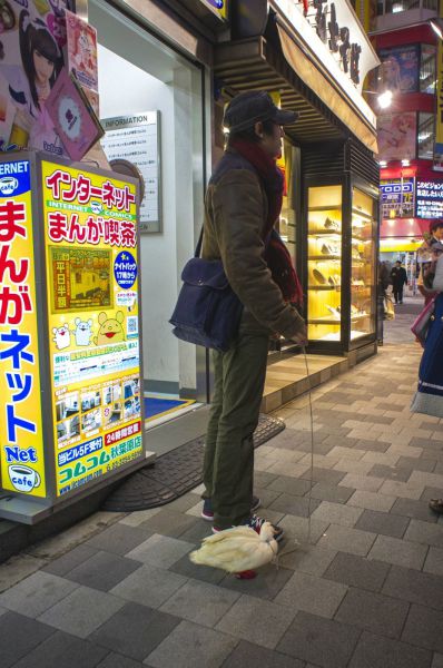 morning picdump 56 pics 14.html - 56 HD Photos | Premium Gallery 2014