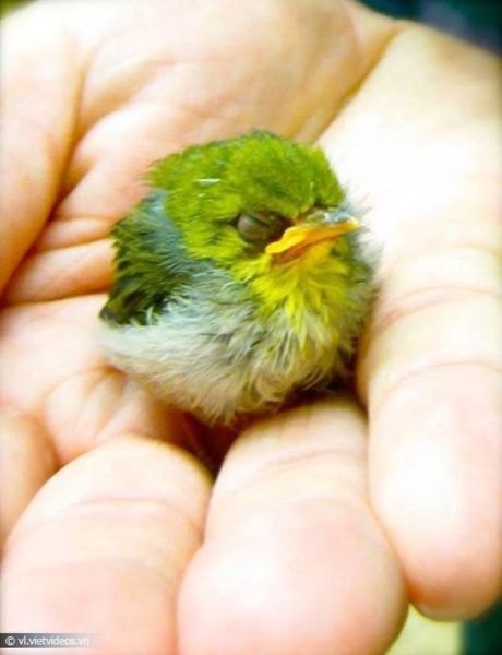 morning picdump 56 pics 14.html - 56 HD Photos | Premium Gallery 2014