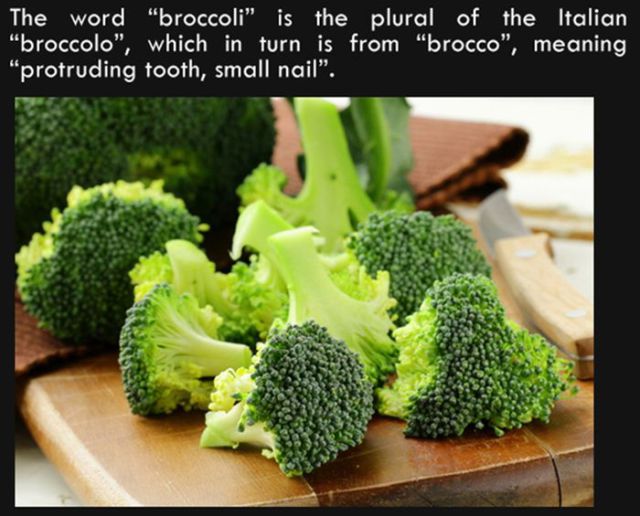 Silly Facts That Are Pretty Interesting