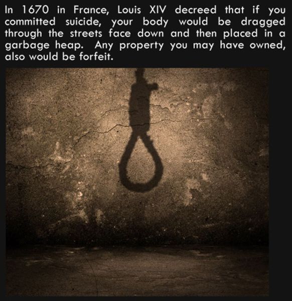 Silly Facts That Are Pretty Interesting