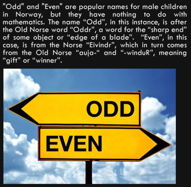 Silly Facts That Are Pretty Interesting