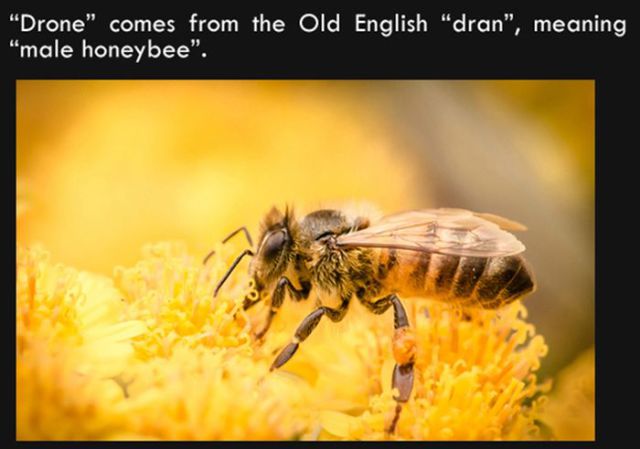 Silly Facts That Are Pretty Interesting