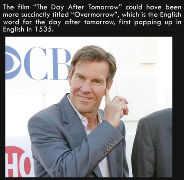 Silly Facts That Are Pretty Interesting