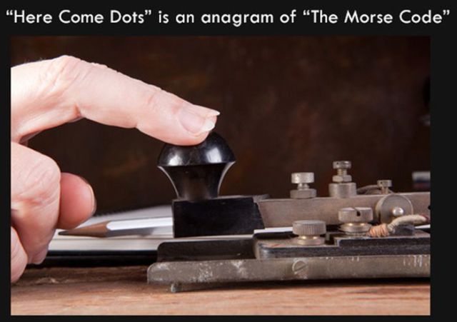 Silly Facts That Are Pretty Interesting