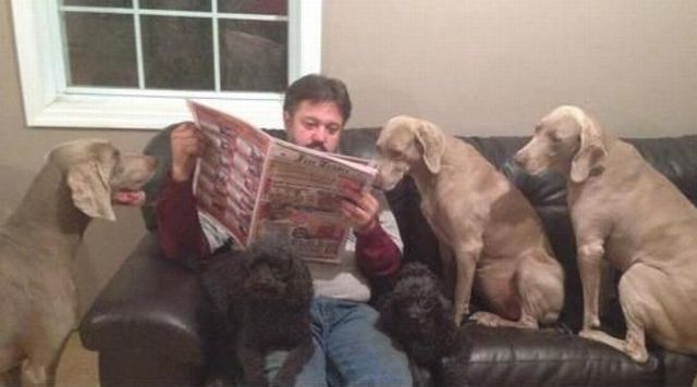 morning picdump 53 pics 2.html - 53 HD Photos | Premium Gallery 2014