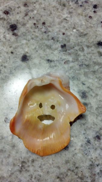 morning picdump 53 pics 2.html - 53 HD Photos | Premium Gallery 2014