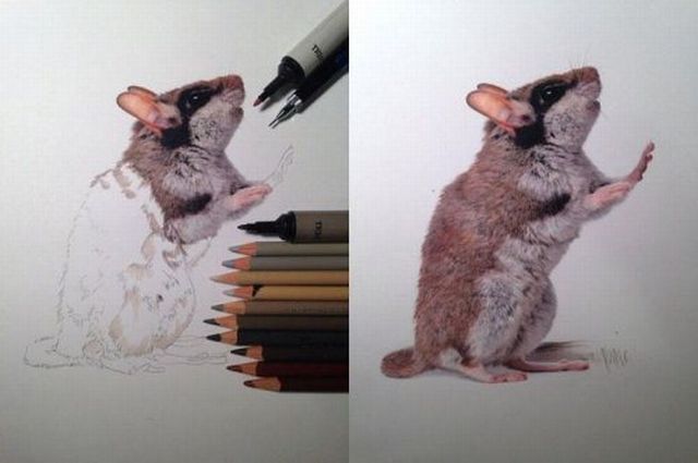 Morning Picdump