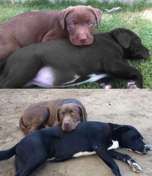 morning picdump 55 pics 7.html - 55 HD Photos | Premium Gallery 2014
