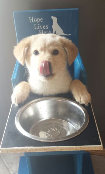 morning picdump 55 pics 7.html - 55 HD Photos | Premium Gallery 2014