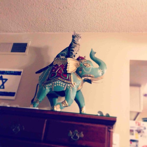 morning picdump 55 pics 7.html - 55 HD Photos | Premium Gallery 2014