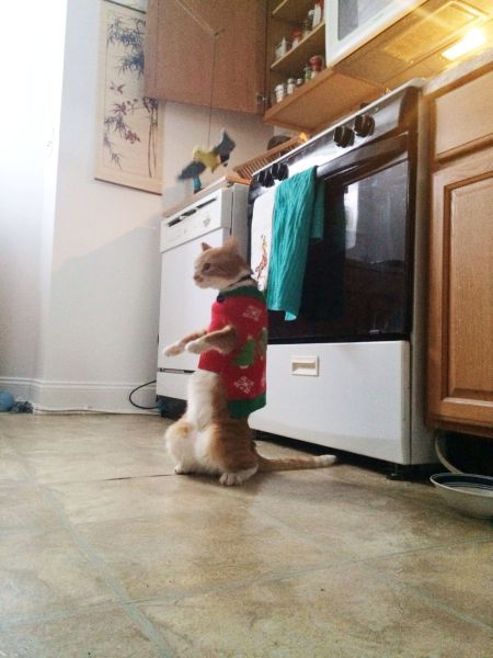 morning picdump 55 pics 7.html - 55 HD Photos | Premium Gallery 2014